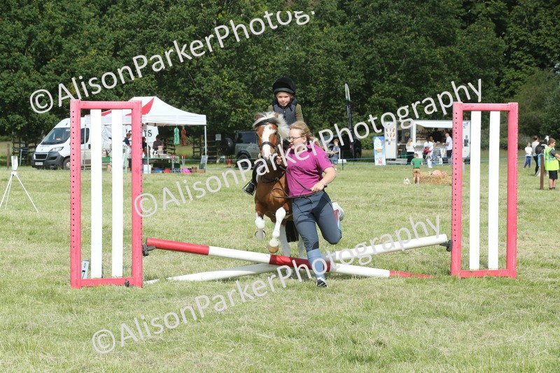 20260614-0155 - Class 1 - 30cm Lead Rein