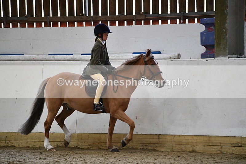 WJ5_6245 - Class 9 Ridden Veteran