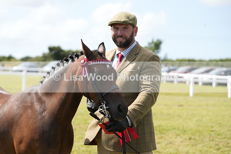 DSC07401 - Class 69: NPS Show Pony 4 years and over