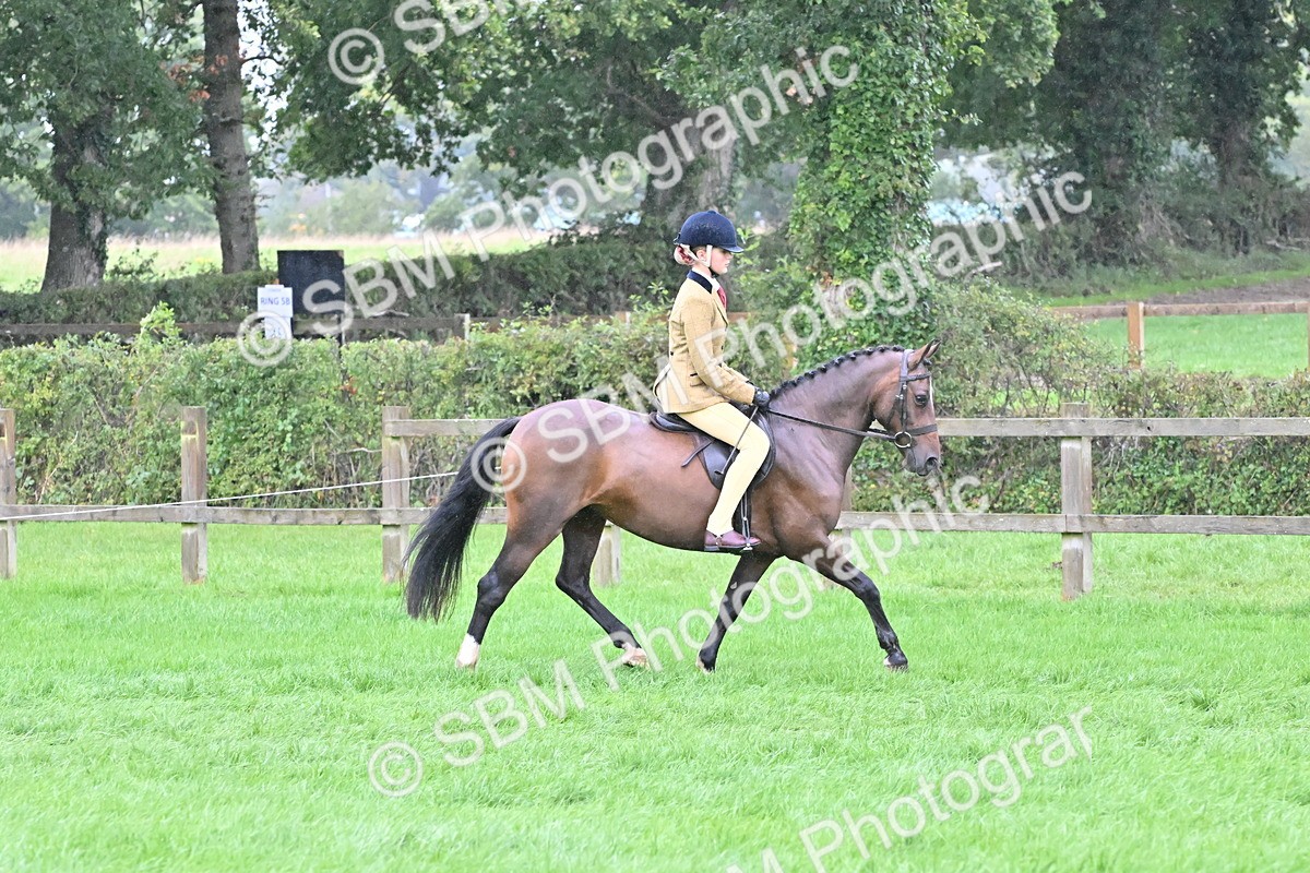 SBM_72511 - S43 - Ridden Equitation Best Rider