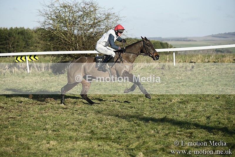 PtP 070118 -465 - Larkhill Racing Club Point to Point Larkhill 07/01/2018