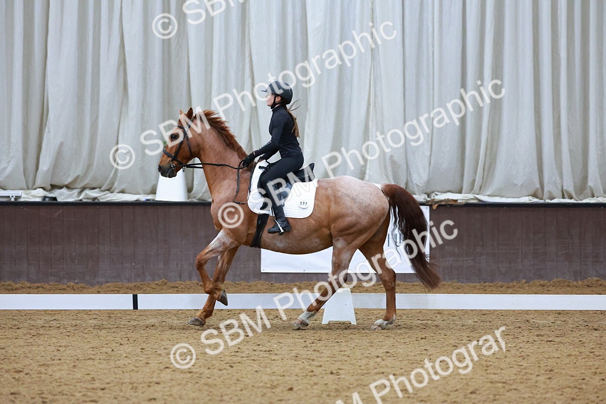 1I0A0951 - Class 3-6 - Prelim 1-Novice 2