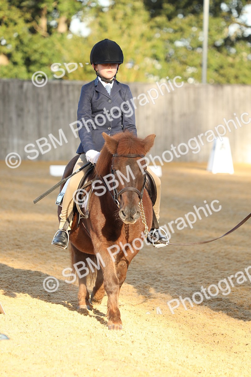 SBM_33616 - D26 - Starers - Lead Rein