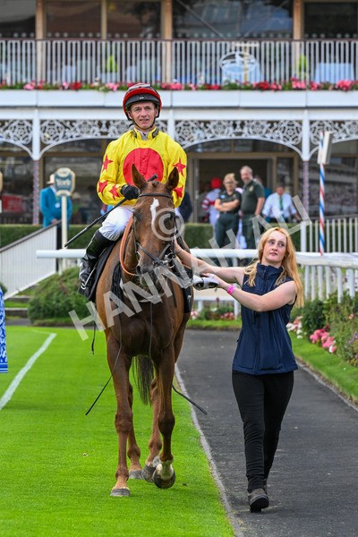 250725-Race 1-Pressures On - Quest For Fun-0258 - Race 1 5.30pm eventmasters.co.uk Handicap