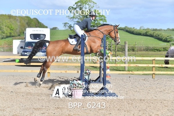 BPP_6243 - CLASS 32 MON Club/ Unaffiliated 80cms Open