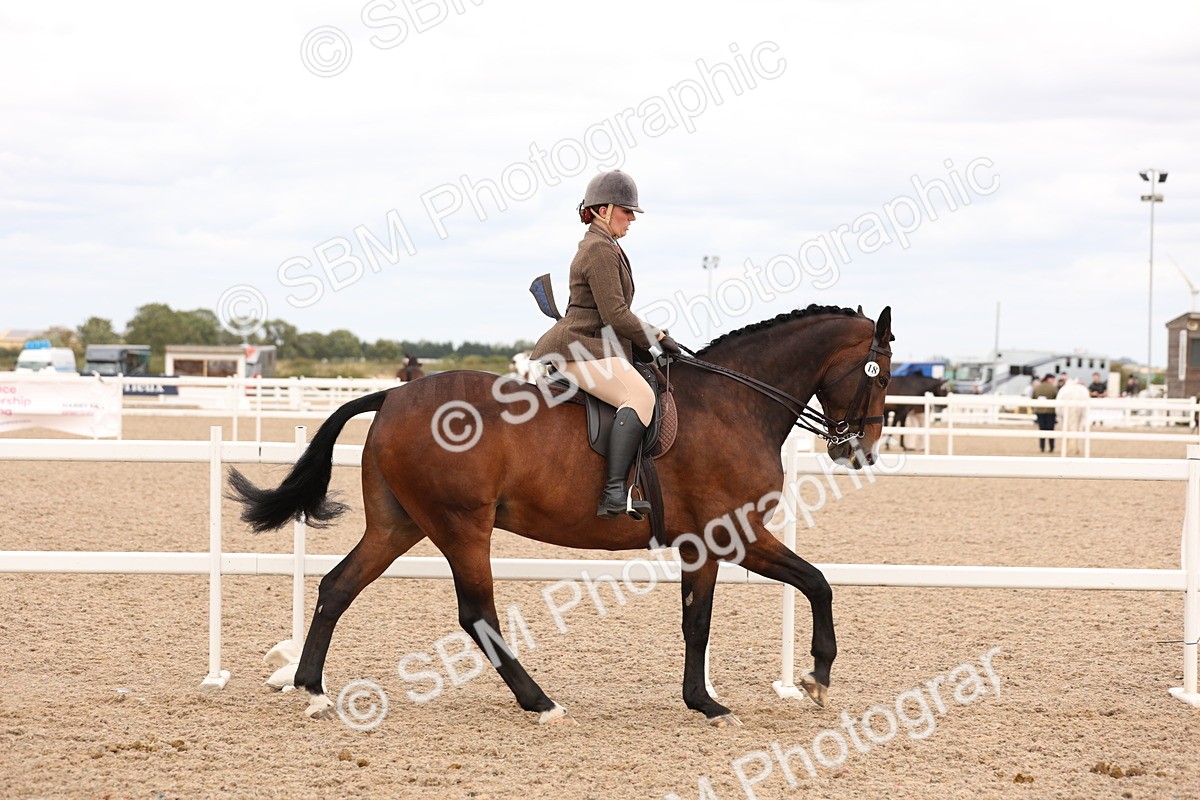 SBM_17209 - Class 213 - Ridden Hunter - Large