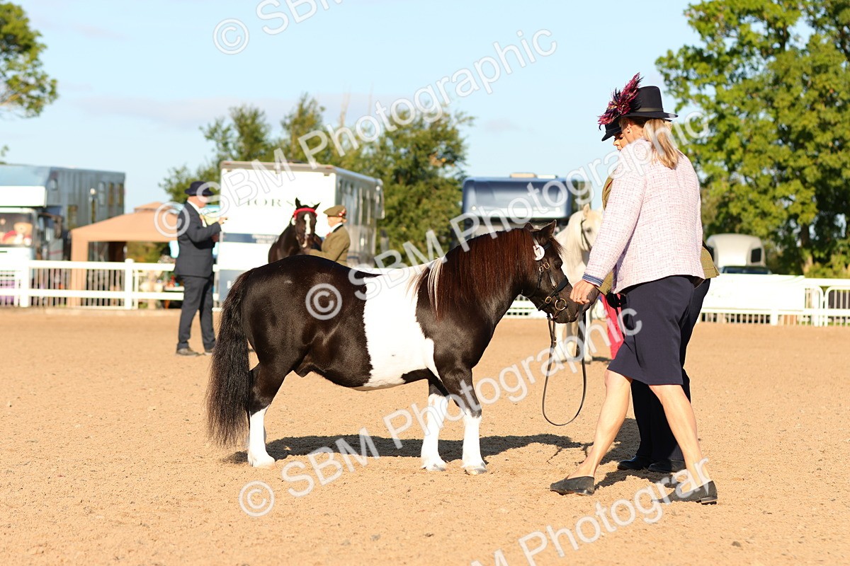 SBM_08017 - Class 201 - Best Turned Out - IH