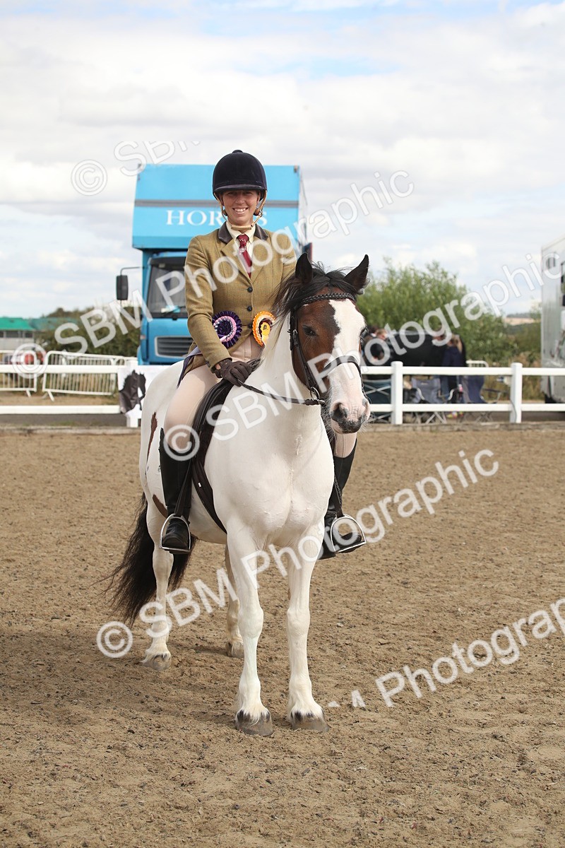 SBM_15250 - Class 506a - Working Veteran - 50cm (15-19)