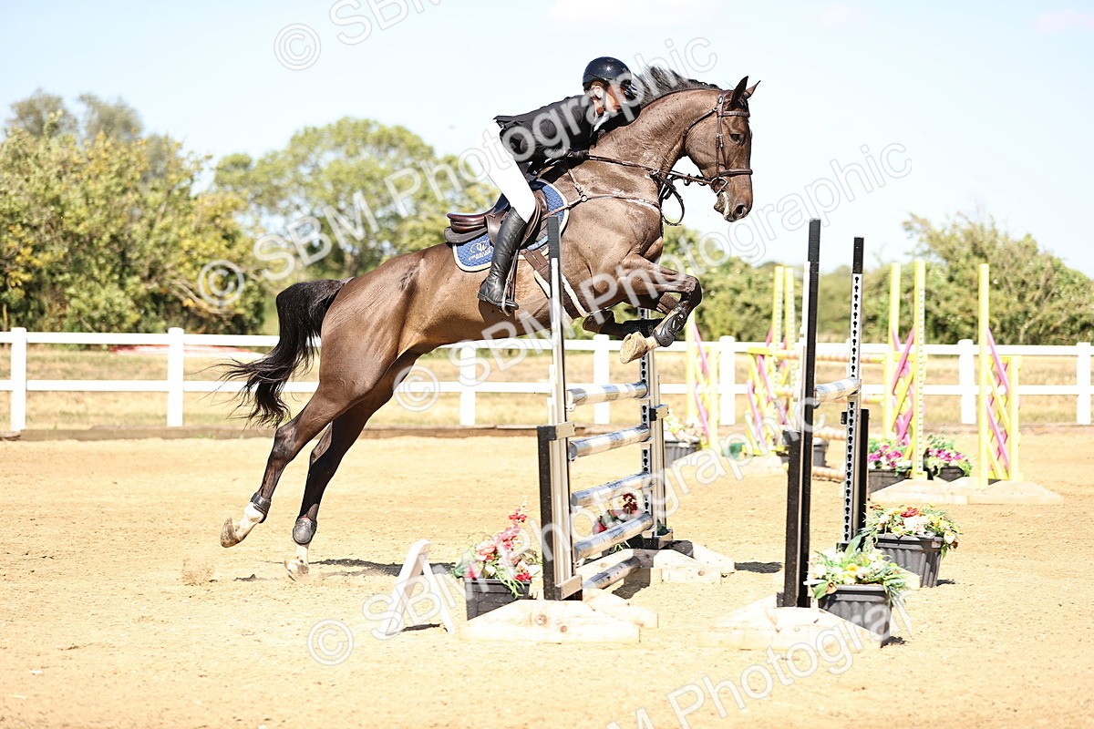 SBM_015489 - Class 16 - Senior foxhunter - 1.20m Open