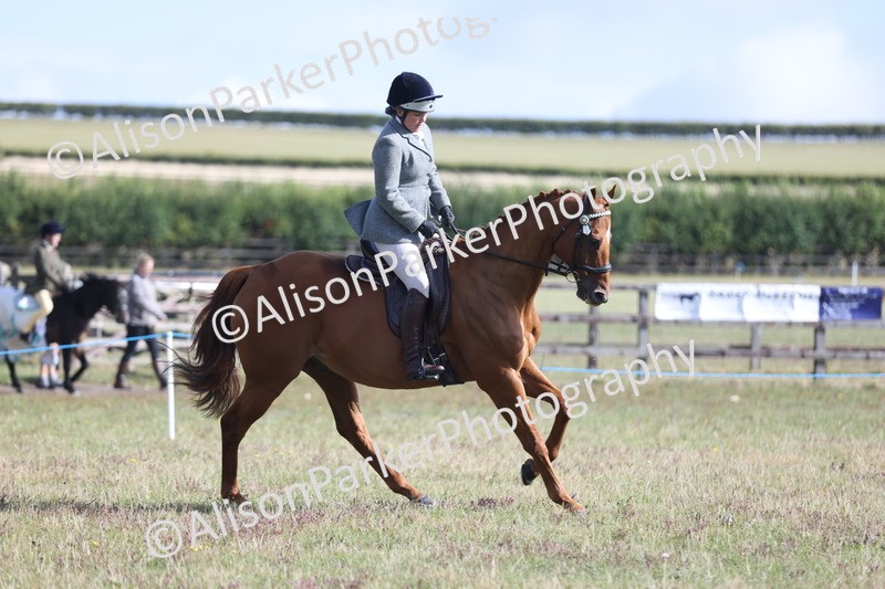 20250831-0909 - Class 14 - Ex Racehorse