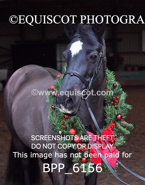 BPP_6156 - Erin Hancock ×2