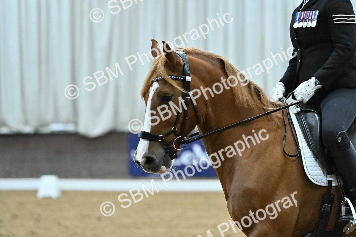 SBM_005905 - Class 79 - Intro 4