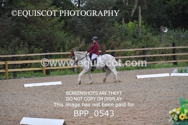 BPP_0543 - MFS PRELIM & NOV