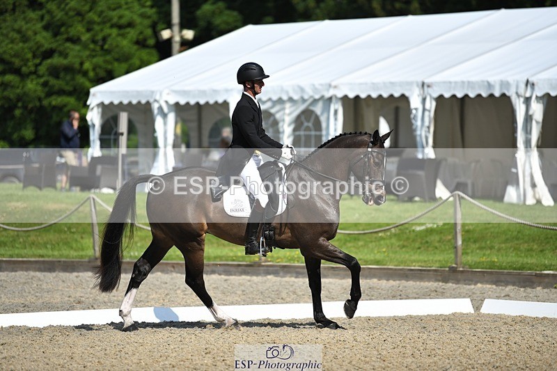 230525-094824-01668 - 309-PLOT_TWIST_B-Tom_Jackson-WEDTrotUp+DR