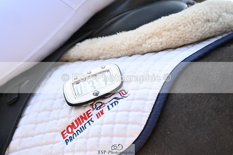 250815-112233-00594 - 037-Alys.MatraversTiger.Mazariti