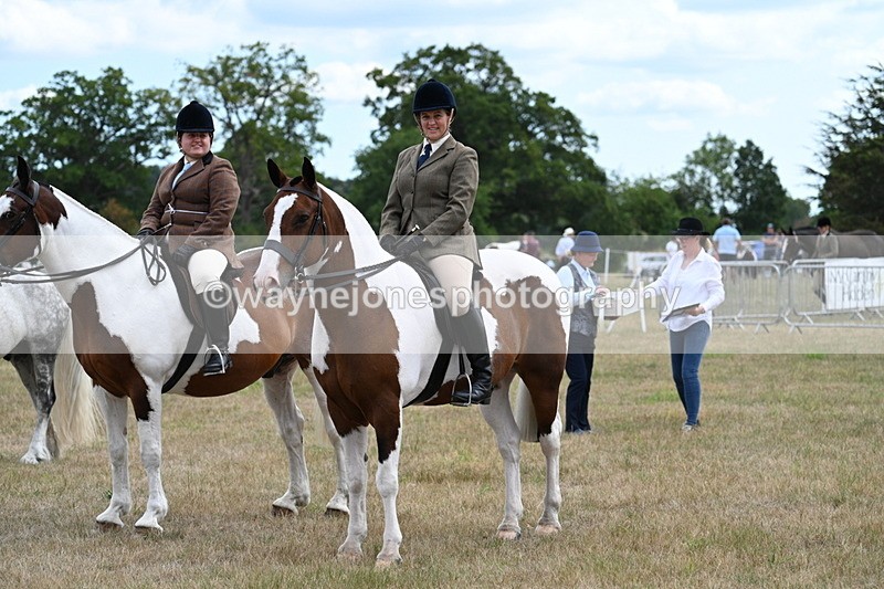 WJ7_5485 - Class 12 Ridden Cob