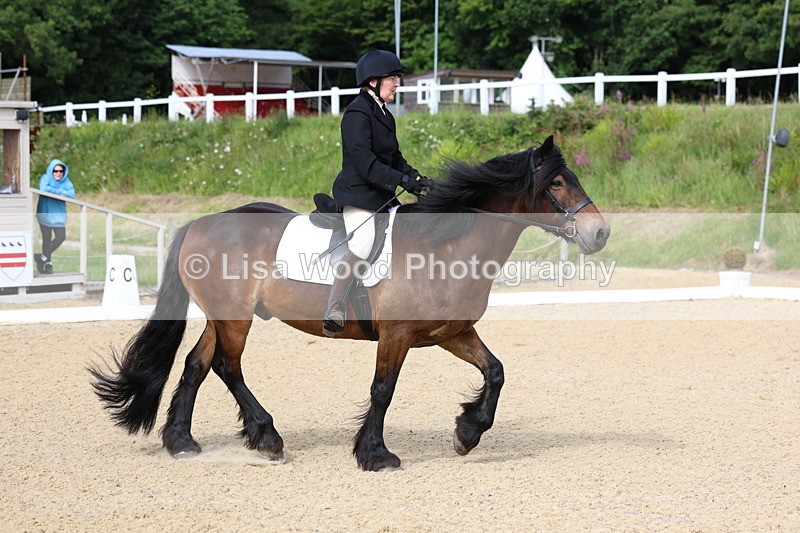 3E7A1372 - Class 1: Intro 2 2024 Section A