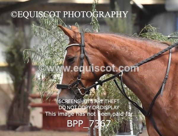 BPP_7367 - CLASS 4 BE90CM