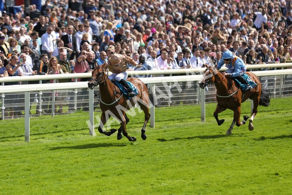 150723-Race 2-Nymphadora-8772 - Race 2 2.35pm John Smith's City Walls Stakes