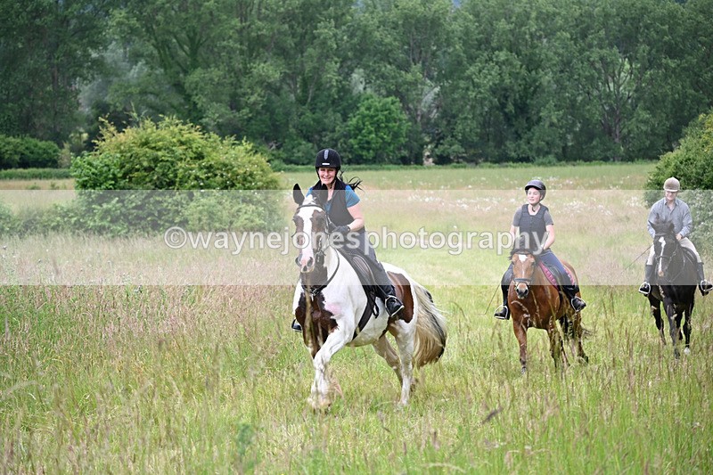 WJ6_8200 - Camera 1 Gallops