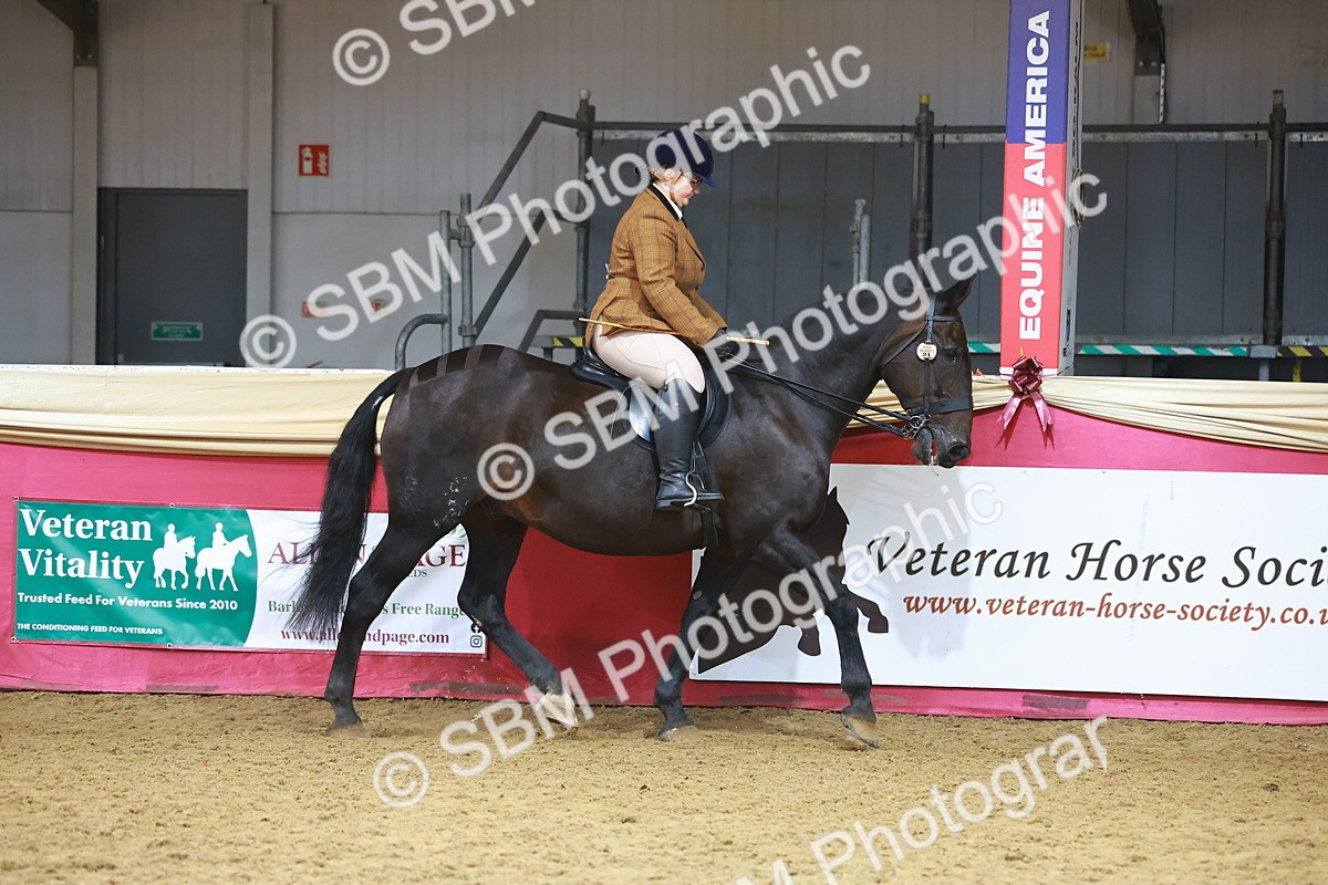 SBM_09386 - Class 102 - HOYS Veteran Qualifier - Ridden Veteran