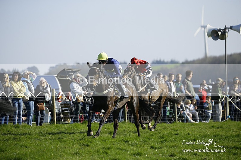 PtP 190322 735 - Wilton Hunt PtP Milborne St Andrew 19/03/22