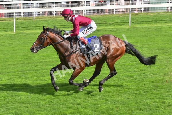 yr18082021r4-92 - Race 4 3.35pm Juddmonte International Stakes (British Champion Series race)