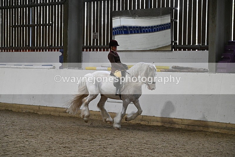 WJ7_4221 - Class 17 Ridden Cob