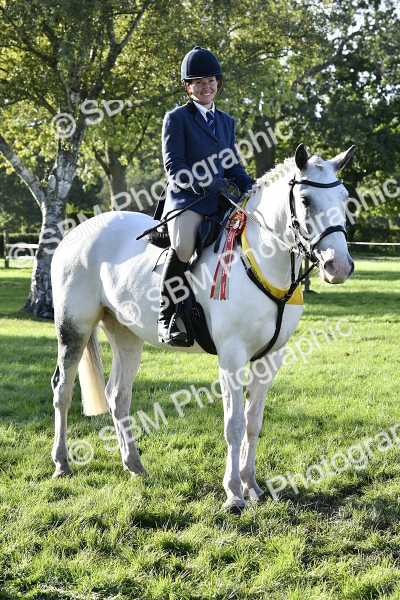SBM_51743 - Working Hunter Supreme Championship