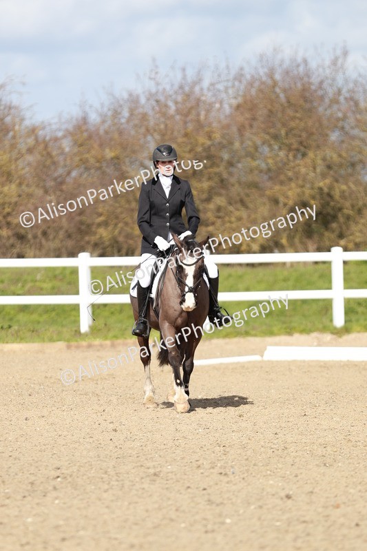 20260314-2946 - DR3 - Prelim 1