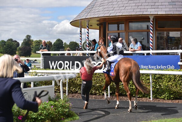 yr19082022r1-14 - Race 1 1.50pm Sky Bet Stakes