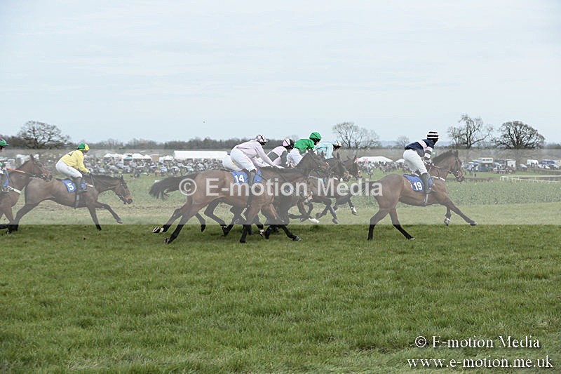 PtP 230319 168 - VWH Hunt Siddington Point-to-Point Racing 23/03/19