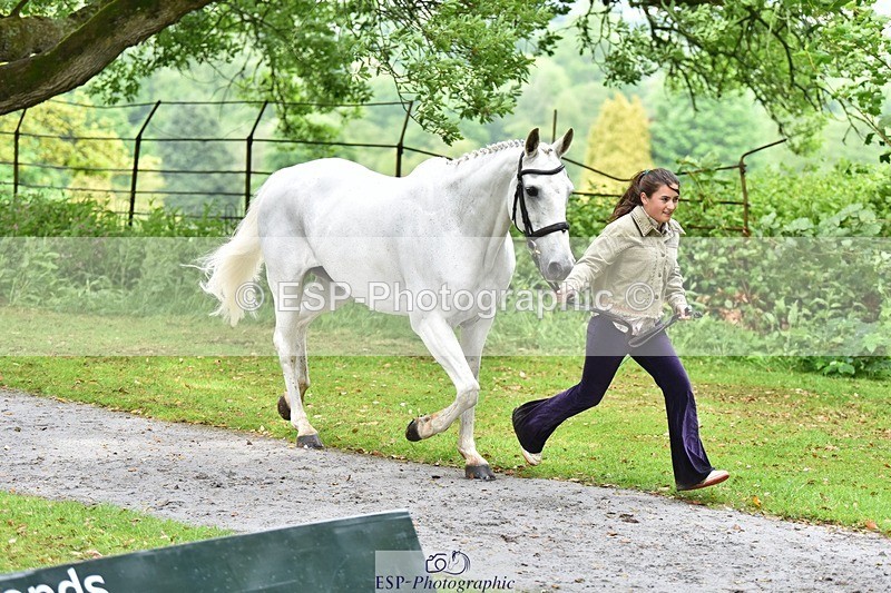 240522-155940-00630 - 112-DISCO_DONUT-Mahony_Knight