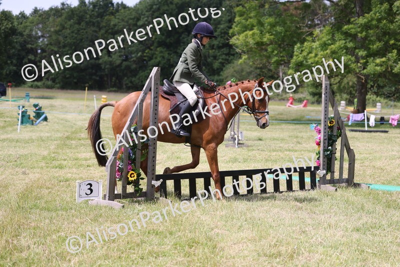 20260614-1849 - Class 21 - Novice Working Hunter Pony