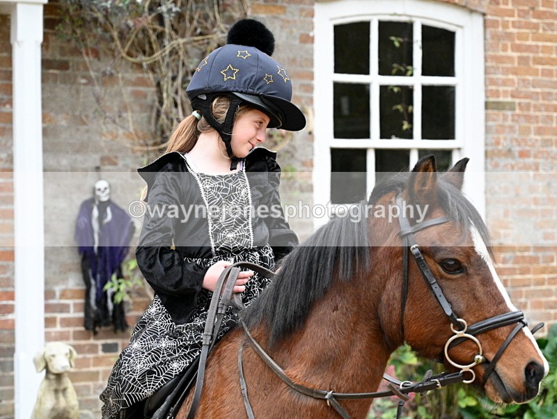 WJ7_6936 - Berks & Bucks - Children's Meet - The Old Farmhouse – Steventon.