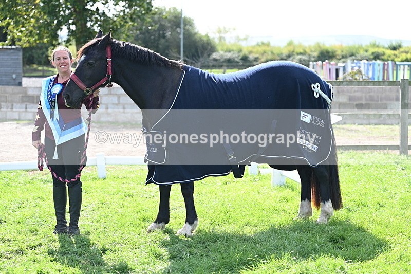 WJ7_1742 - 80cm Champs