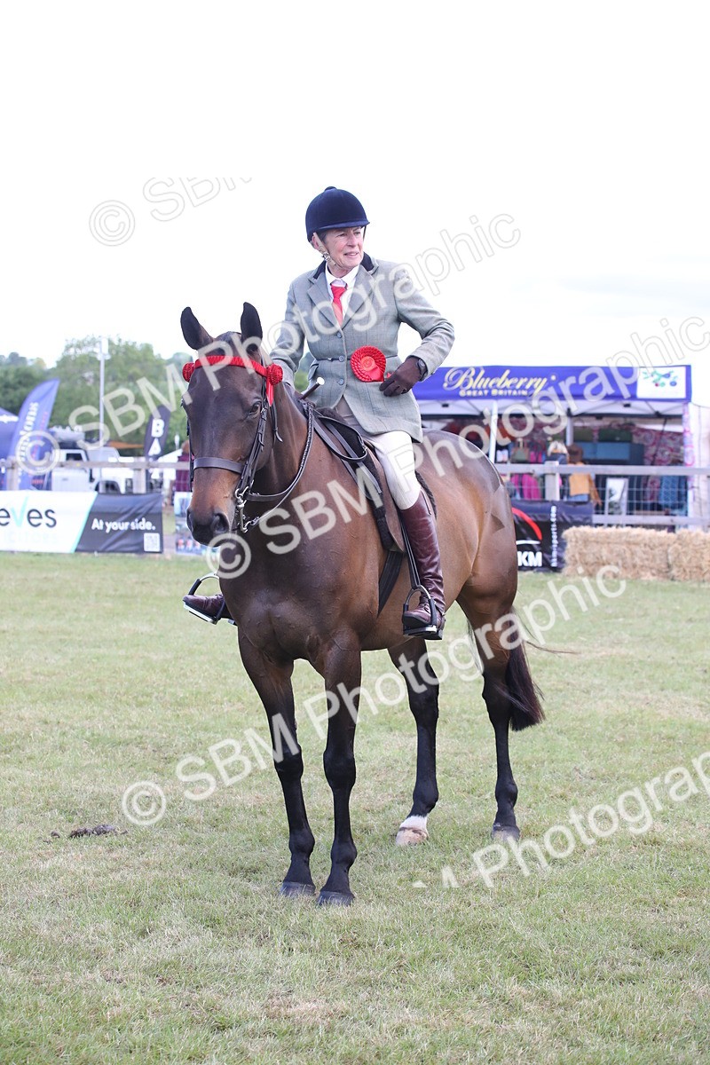 SBM_13272 - Class 95-96 - LIHS BSHA Rising Star Hack Riding Horse