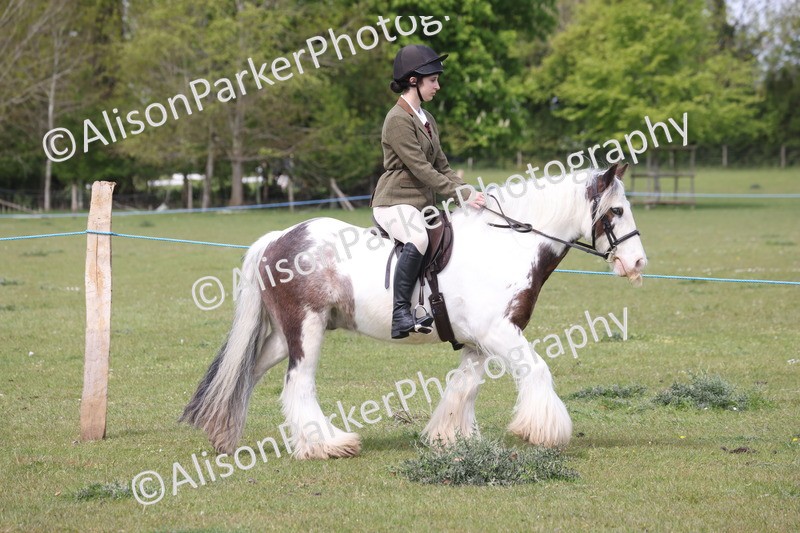 20260426-2912 - Class 33 - Best Pony 14.2hh and Under
