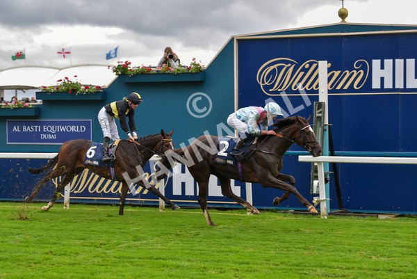 131023-Race 2-Lordship-9204 - Race 2 2.40pm William Hill Finale Handicap