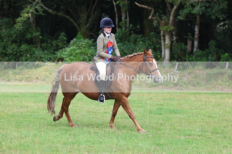 3E7A6070 - Working Hunter Championship