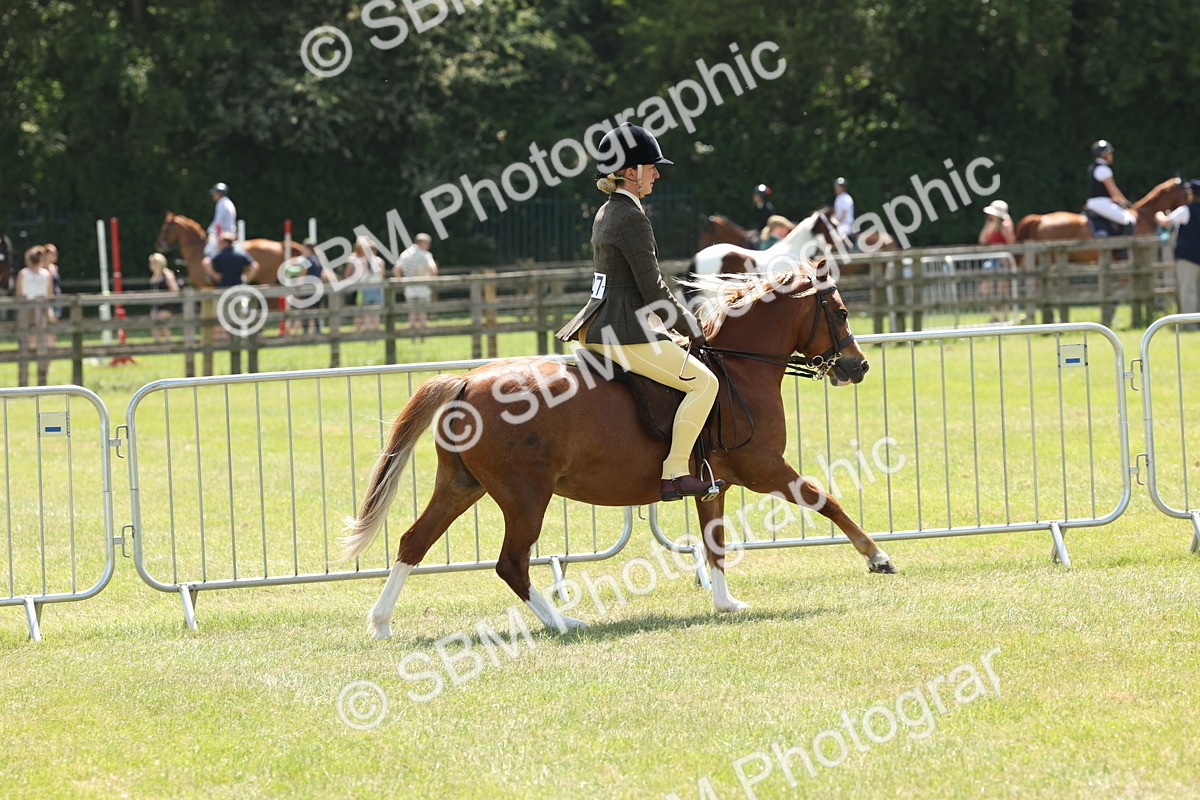 SBM_06741 - Class 26-30 - Mountain and Moorland Ridden