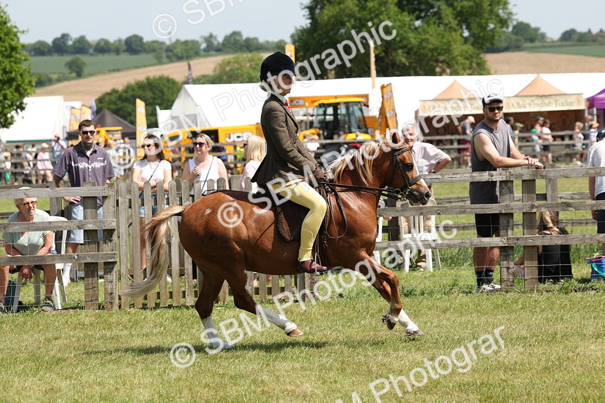 SBM_06752 - Class 26-30 - Mountain and Moorland Ridden
