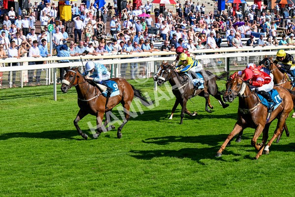110725-Race 6-Brazen Bolt-0500 - Race 6 5.07pm William Hill Keep Your Raceday Positive Handicap