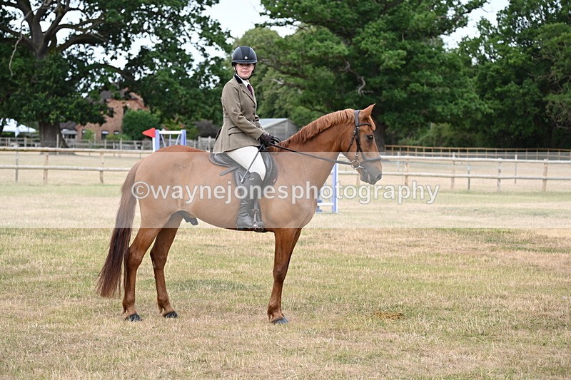 WJ6_3928 - Class 9 Tack & Turnout