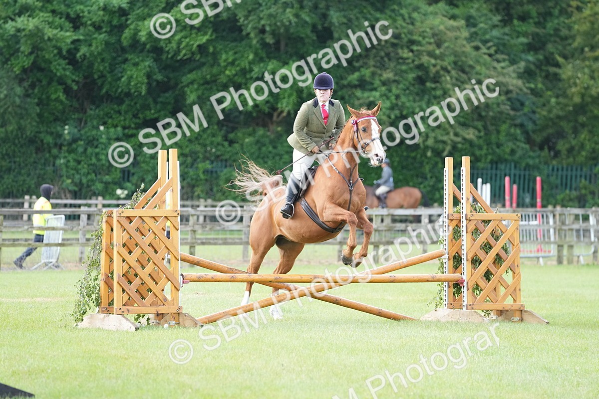 SBM_10467 - Class 97-98 - LIHS BSHA Rising Star Working Show Horse Hunter