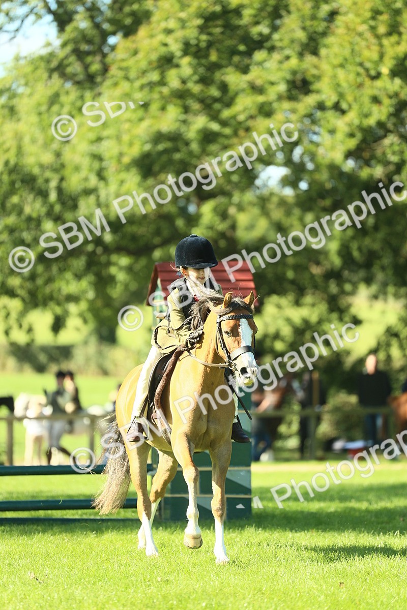 SBM_37430 - S29 - Novice & Newcomers Working Hunter Pony