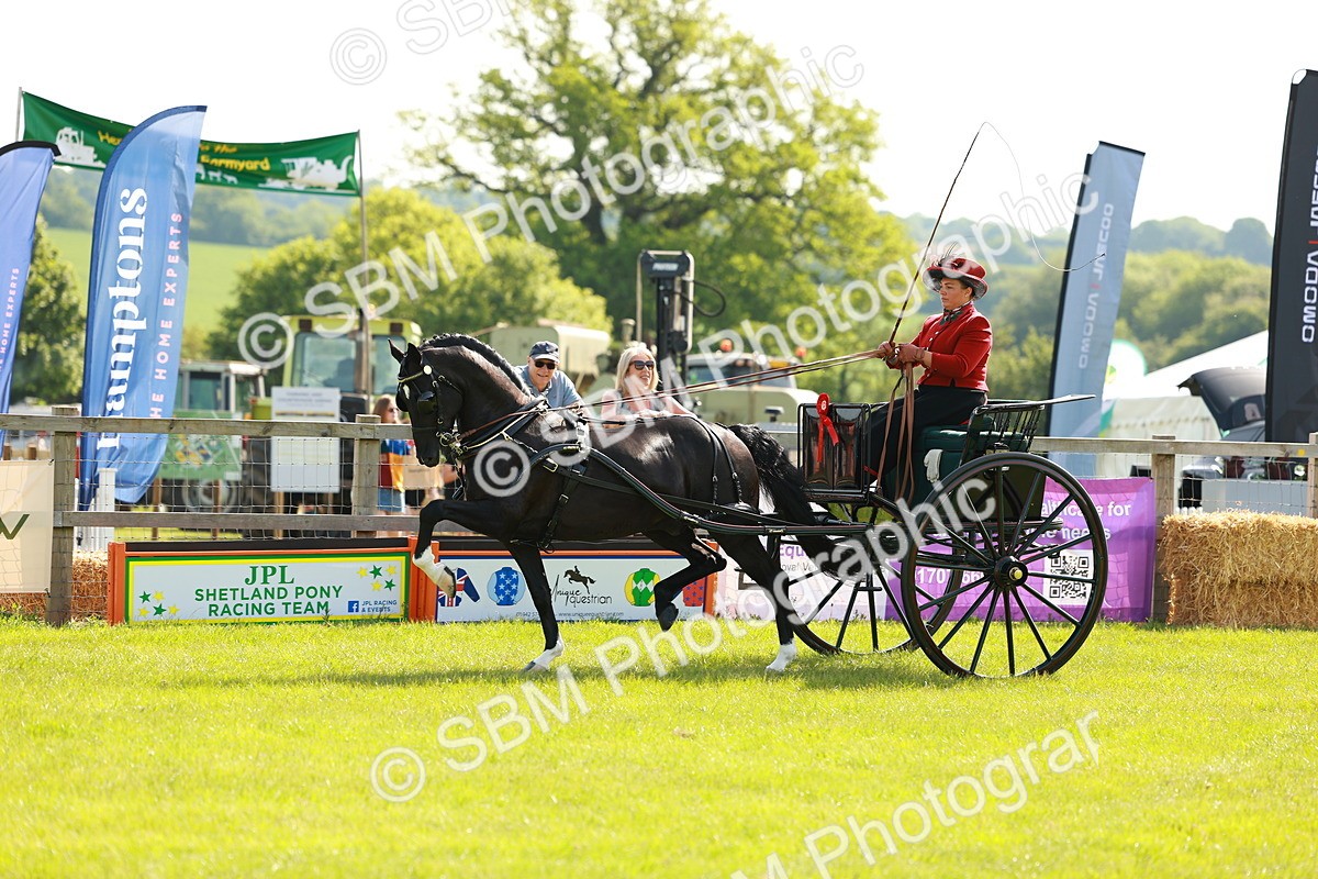 SBM_01286 - Class 2-4 - HOYS Private Driving