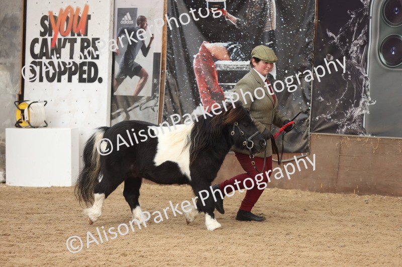 20251109-0421 - Class 15 - Coloureds