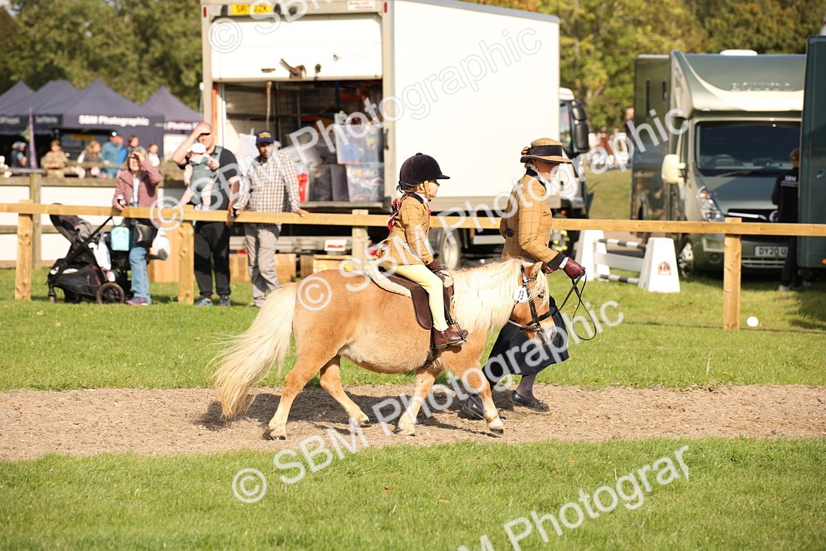 SBM_50128 - S26 - Young Veteran - Ridden