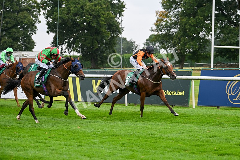 070924-Race 2-Cymbidium-7158 - Race 2